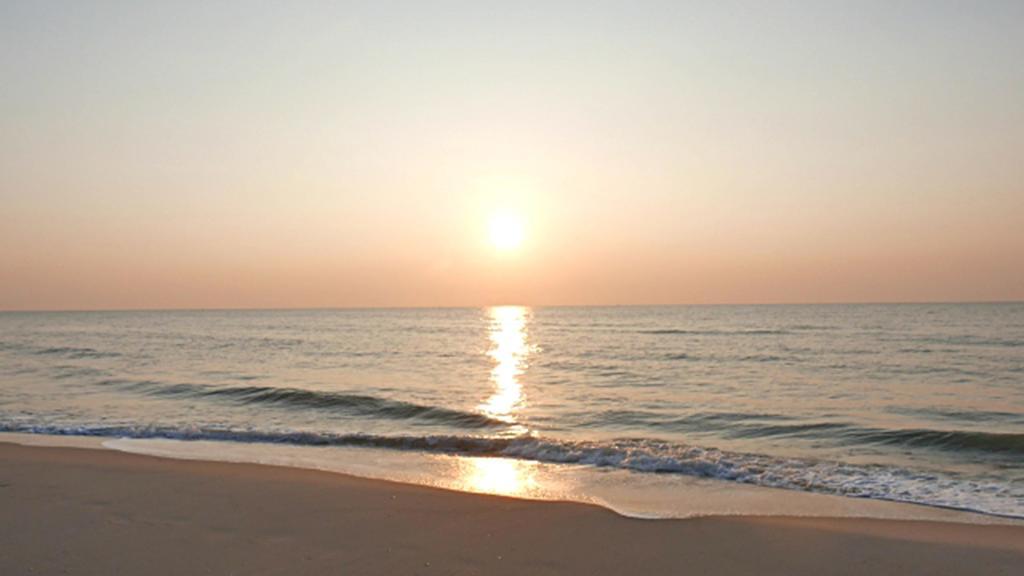 Hung Do Beach Homestay Hoi An Dış mekan fotoğraf